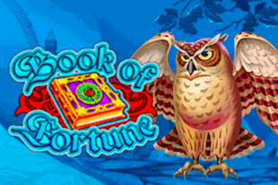 Book of Fortune